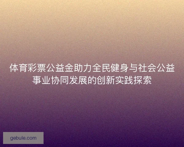 体育彩票公益金助力全民健身与社会公益事业协同发展的创新实践探索